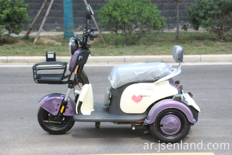 800W بطارية الليثيوم ثلاثية الدراجة ثلاثية 800W Lithium Battery Tricycle
